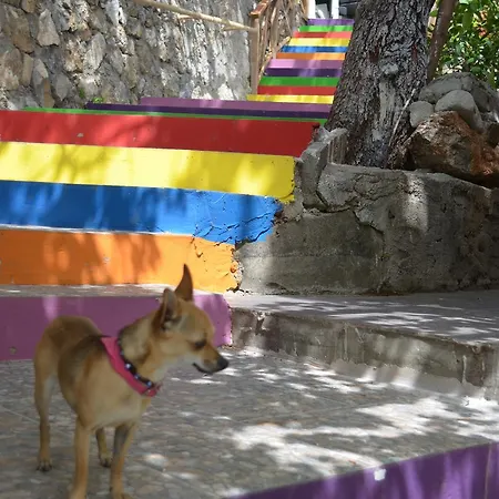 Lagoon Boutique 2* Ölüdeniz