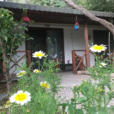 Hotel Lagoon Boutique Ölüdeniz