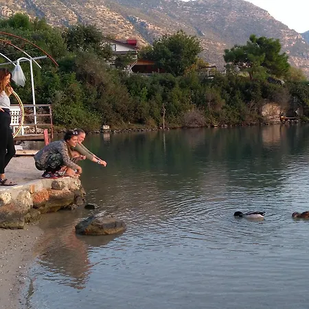 Hotel Lagoon Boutique 2*