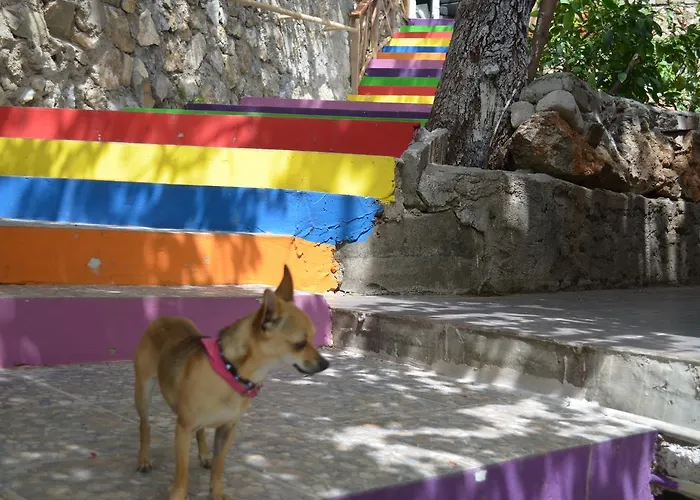 Lagoon Boutique 2* Öludeniz