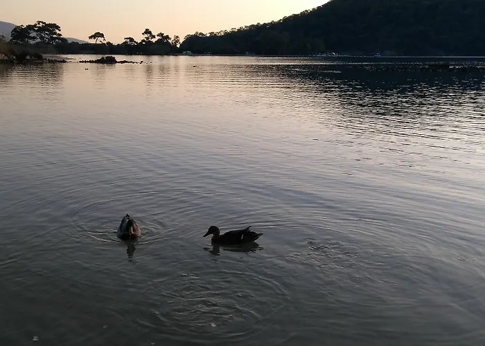 Ξενοδοχείο Lagoon Boutique